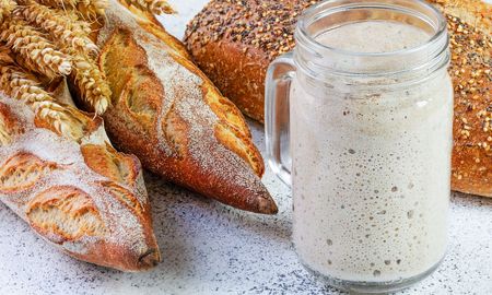 recetas faciles con masa madre para resolver desayuno, merienda y cena de forma sana recetas faciles con masa madre para resolver desayuno, merienda y cena de forma sana