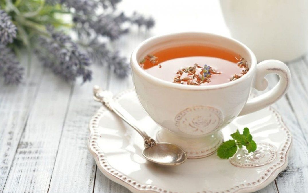 Contraindicaciones de tomar té en exceso para la salud