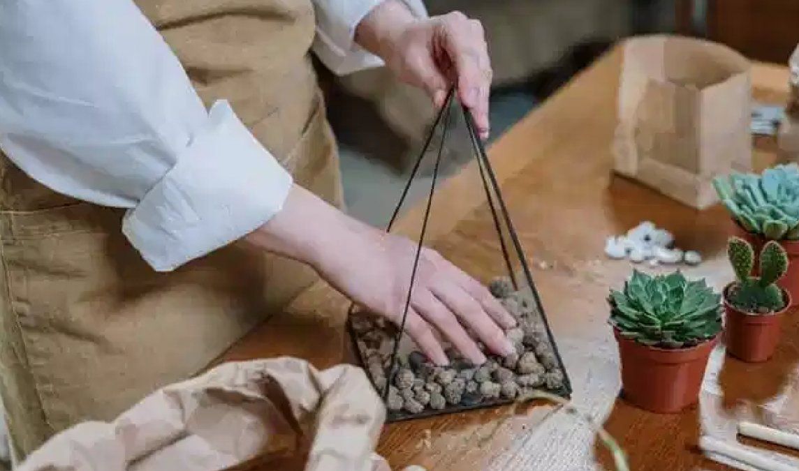 Creá tu propio terrario