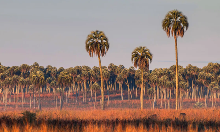 escapada a un sorprendente parque en el corazon de entre rios, ideal para descubrir y recorrer escapada a un sorprendente parque en el corazon de entre rios, ideal para descubrir y recorrer