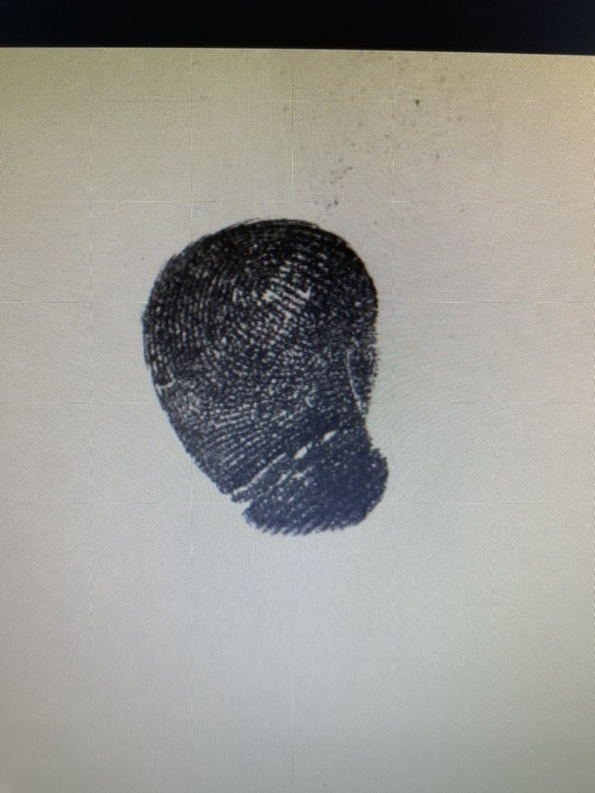 Las huellas de los gemelos aún no están en el sistema, contó su mamá en Twitter.