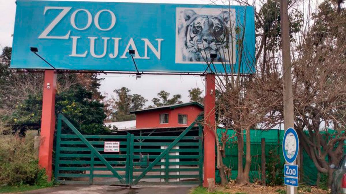 Se intimó a la institución a regularizar su situación en un plazo inprorrogable de 10 días.&nbsp;