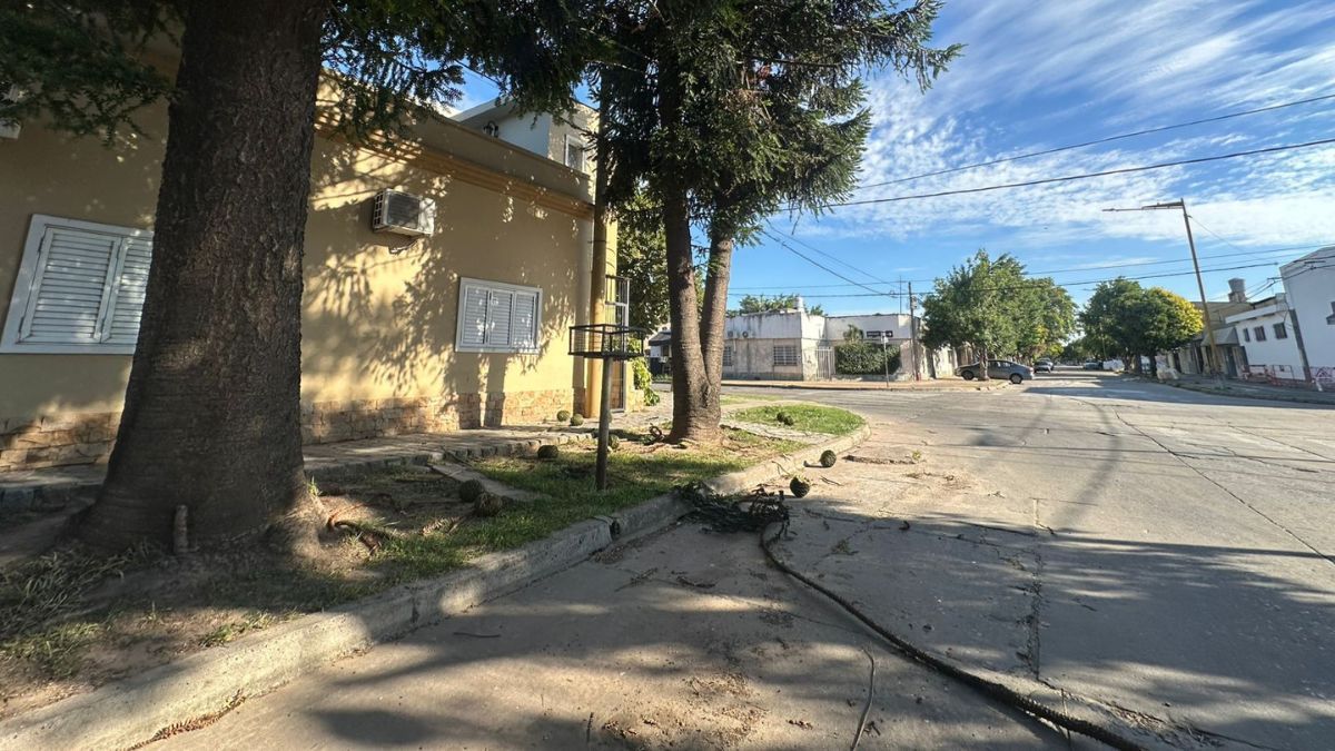 Vecinos de barrio Roma en alerta por piñas del tamaño 