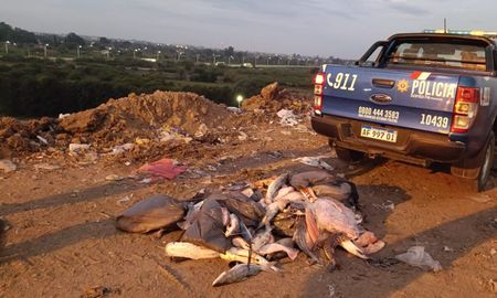 Los pescados incautados fueron posteriormente decomisados en el relleno sanitario de Santa Fe. Los pescados incautados fueron posteriormente decomisados en el relleno sanitario de Santa Fe.