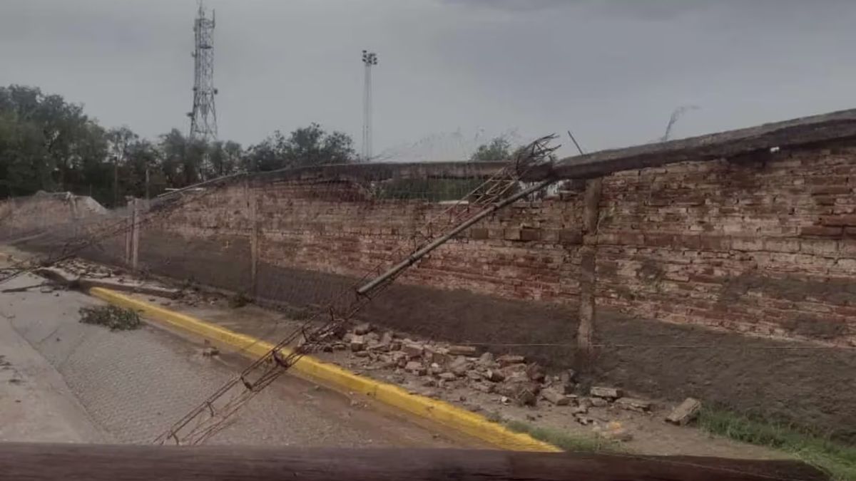 Estructuras y postes caídos Estructuras y postes caídos