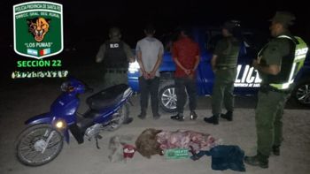 Circulaban en moto con carne faenada sin documentación: fueron detenidos