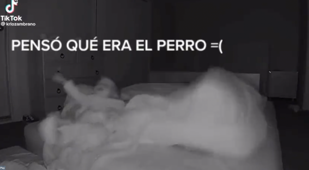 Estaba dormido, pensó que era el perro y empujó a su hijo