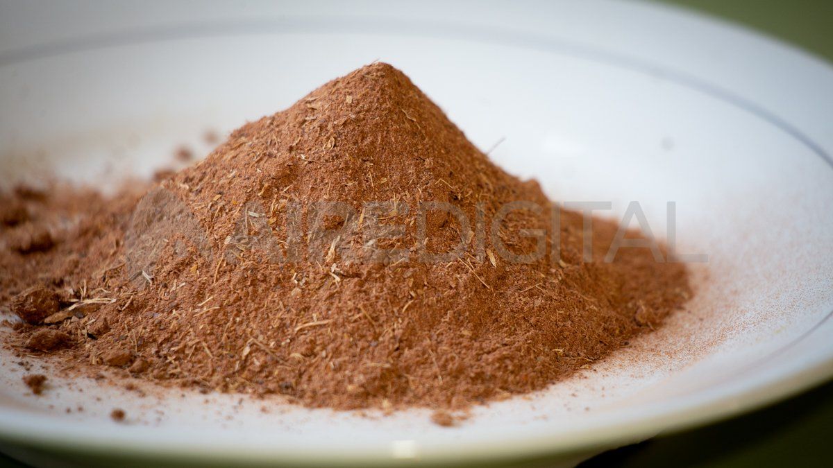 La harina de algarroba tiene esta textura y color cuando se la termina de moler.