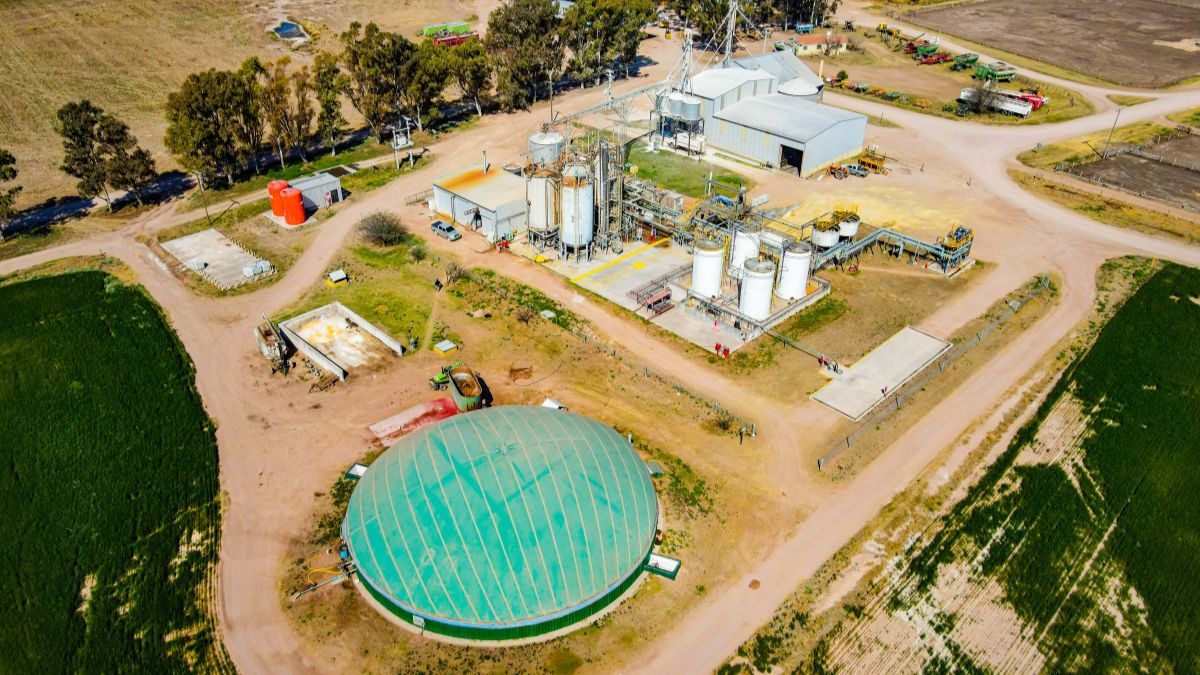 En una destilería propia, el maíz se transforma en 6 millones de litros anuales de bioetanol En una destilería propia, el maíz se transforma en 6 millones de litros anuales de bioetanol