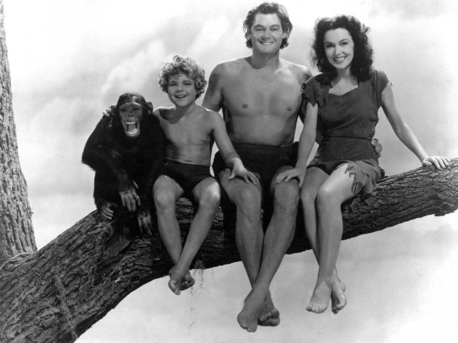 La cuarta película de la saga, Tarzan finds a son! (¡Tarzán encuentra un hijo!), con el niño Johnny Sheffield como Boy, fue lanzada en junio de 1939. También apareció el personaje de Cheetah (Chita), su inseparable chimpancé.