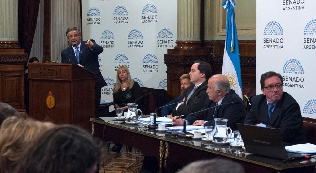 El ministro de Salud defendió el proyecto de aborto legal