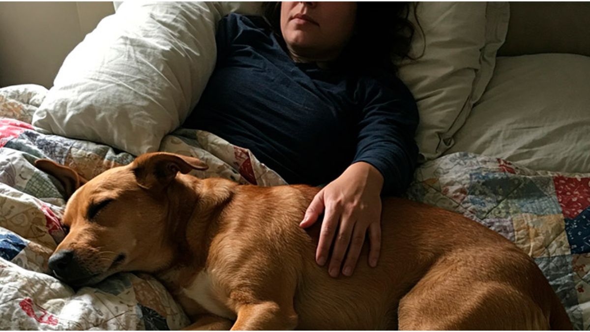Qué significa que tu perro duerma pegado a vos
