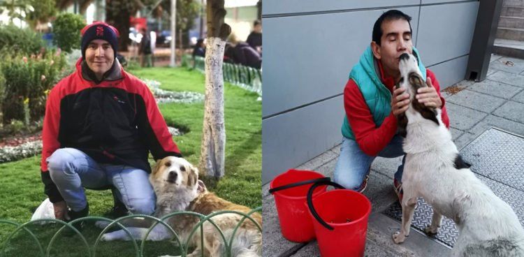 perros.jpg