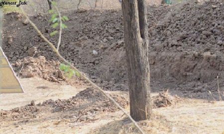 donde esta el leopardo: el reto que volvio a ser viral donde esta el leopardo: el reto que volvio a ser viral