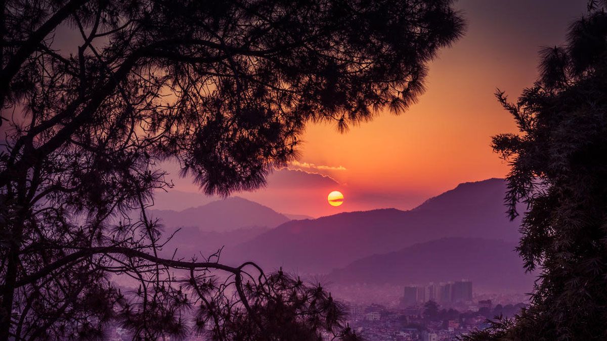 Hor&oacute;scopo 2020