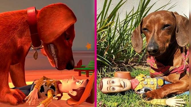 Woody y Buster de Toy Story conmueven las redes con sesión de fotos