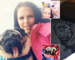 dejaron a sus perros encerrados en una carpa sin agua y al rayo del sol por ocho horas: murieron de un golpe de calor