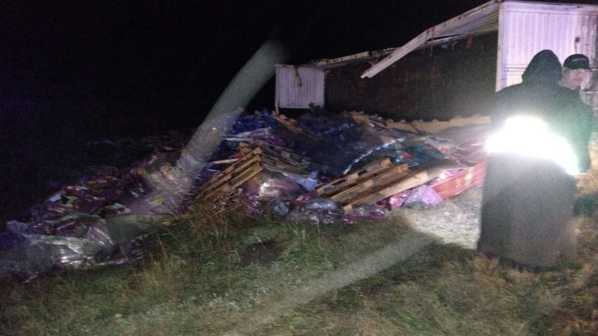 Un camión que trasportaba alimento para mascotas volcó este miércoles por la tarde en el Km 674 de la ruta nacional 11.