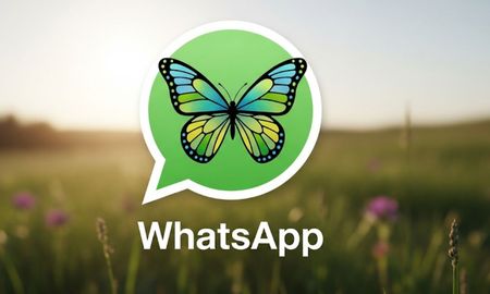 Paso a paso para activar el modo mariposa en WhatsApp Paso a paso para activar el modo mariposa en WhatsApp