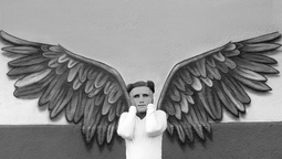 altText(Raúl Cottone presenta la muestra fotográfica 