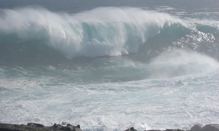 Un pescador ruso halló una extraña criatura en el mar: Bebé dragón Un pescador ruso halló una extraña criatura en el mar: Bebé dragón