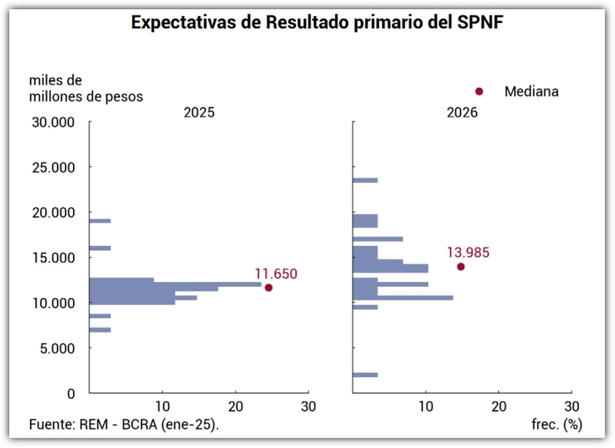 Fuente: REM - BCRA