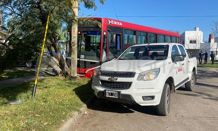 Un colectivo de la Línea 9 chocó contra un árbol Un colectivo de la Línea 9 chocó contra un árbol