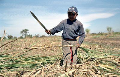Un estudio del 2016/17 determinó que uno de cada diez niños y niñas de entre 5 y 15 años hacía trabajo infantil, y tres de cada diez adolescentes de entre 16 y 17.