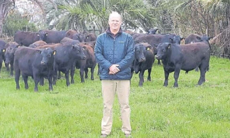 El empresario de 62 años fue asesinado en la tarde del pasado 29 de octubre en el kilómetro 50 de la Autopista Panamericana cuando regresaba a su casa con su esposa de una fiesta. El empresario de 62 años fue asesinado en la tarde del pasado 29 de octubre en el kilómetro 50 de la Autopista Panamericana cuando regresaba a su casa con su esposa de una fiesta.
