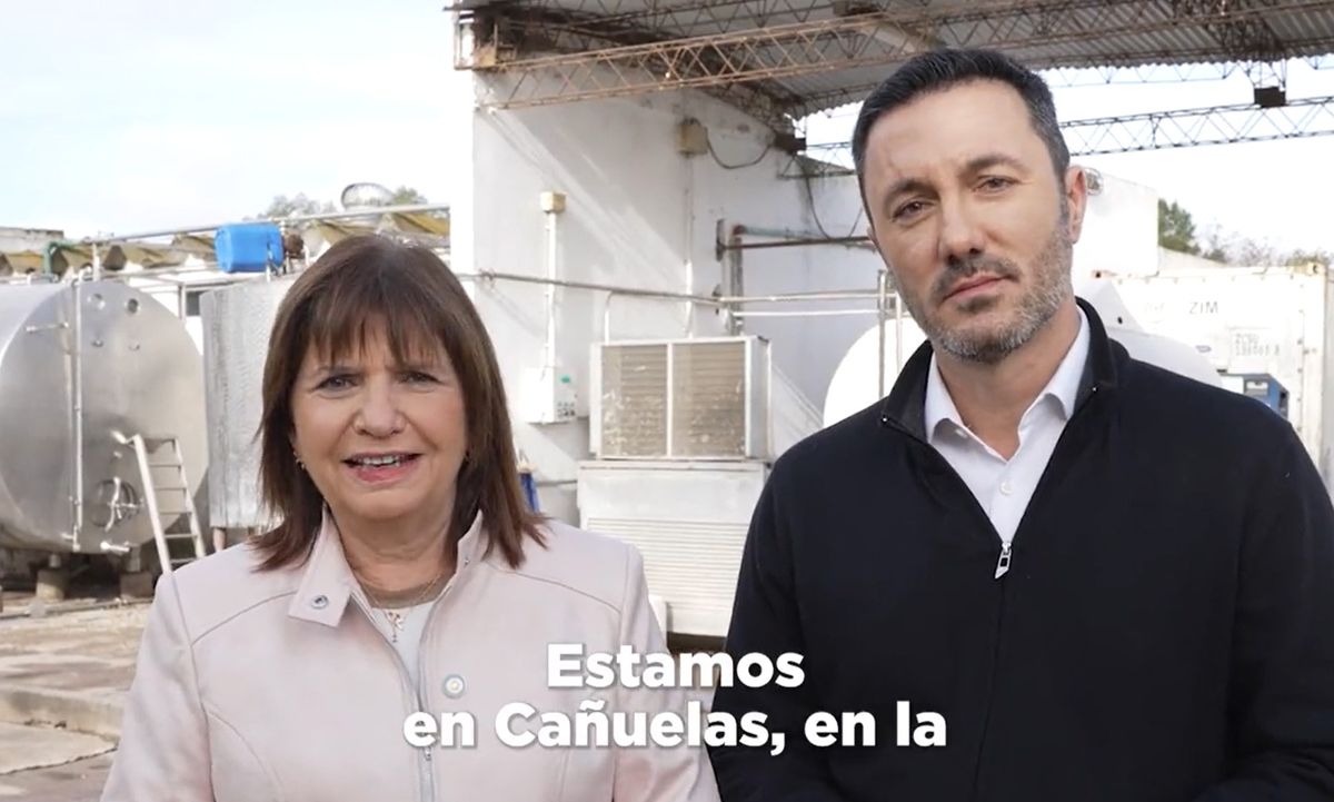 Patricia Bullrich oficializó este jueves al exdiputado radical Luis Petri como su compañero de fórmula.