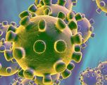 ¿que es un coronavirus?, las preguntas mas frecuentes sobre esta nueva enfermedad ¿que es un coronavirus?, las preguntas mas frecuentes sobre esta nueva enfermedad