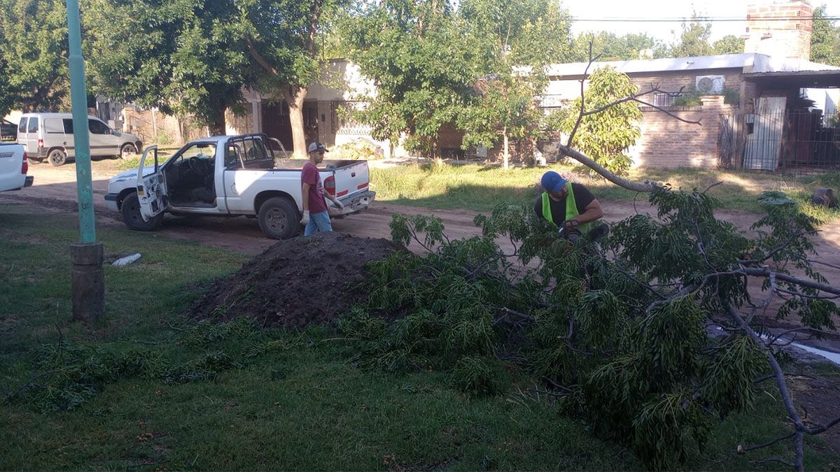 Las cuadrillas municipales de Santo Tomé continúan trabajando para mitigar los inconvenientes ocasionados.&nbsp;
