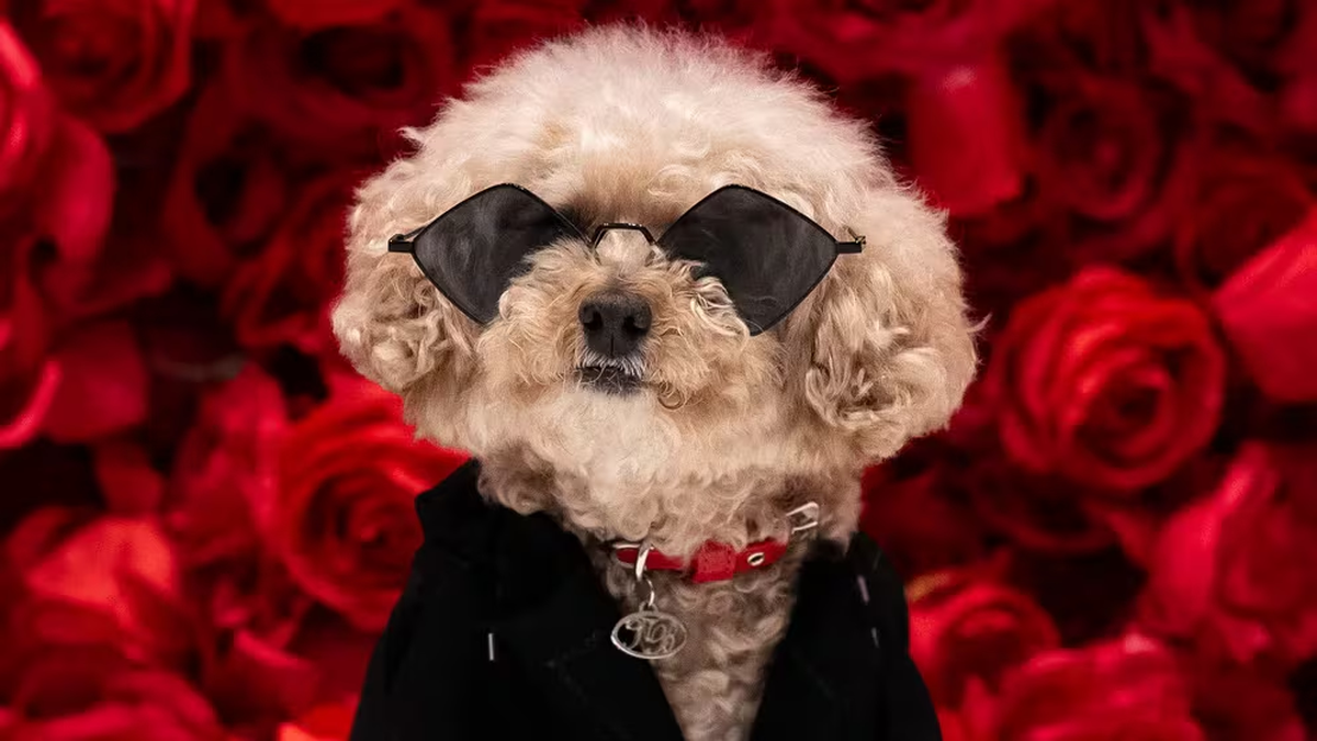 Ted Gram vistió un traje idéntico al de Bad Bunny. Ted Gram vistió un traje idéntico al de Bad Bunny.