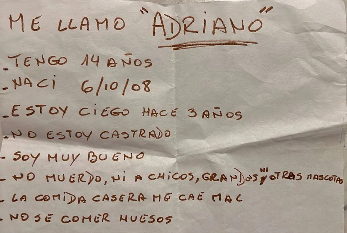 La carta con la que abandonaron al perro en el barrio porteño de La Paternal.