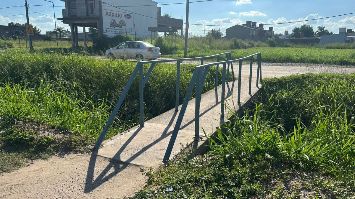 La intervención contempla retirar cinco estructuras existentes y construir nuevos puentes peatonales en distintos puntos de Avenida Aristóbulo del Valle.