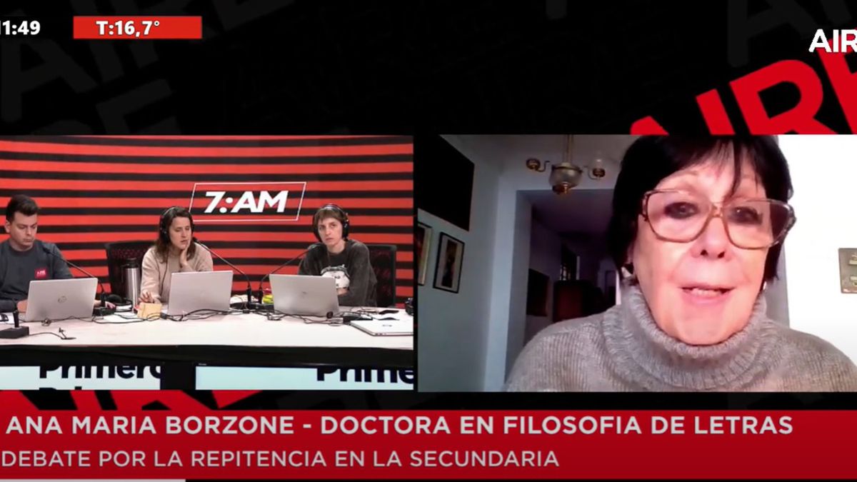 Ana María Borzone habló en AIRE sobre las causas de los problemas de aprendizaje en la secundaria.