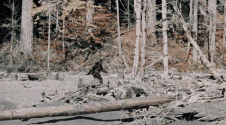 Lo confundieron con Pie Grande y le dispararon a quemarropa