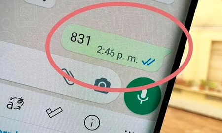 WhatsApp: qué significa el 831 y para qué se usa WhatsApp: qué significa el 831 y para qué se usa