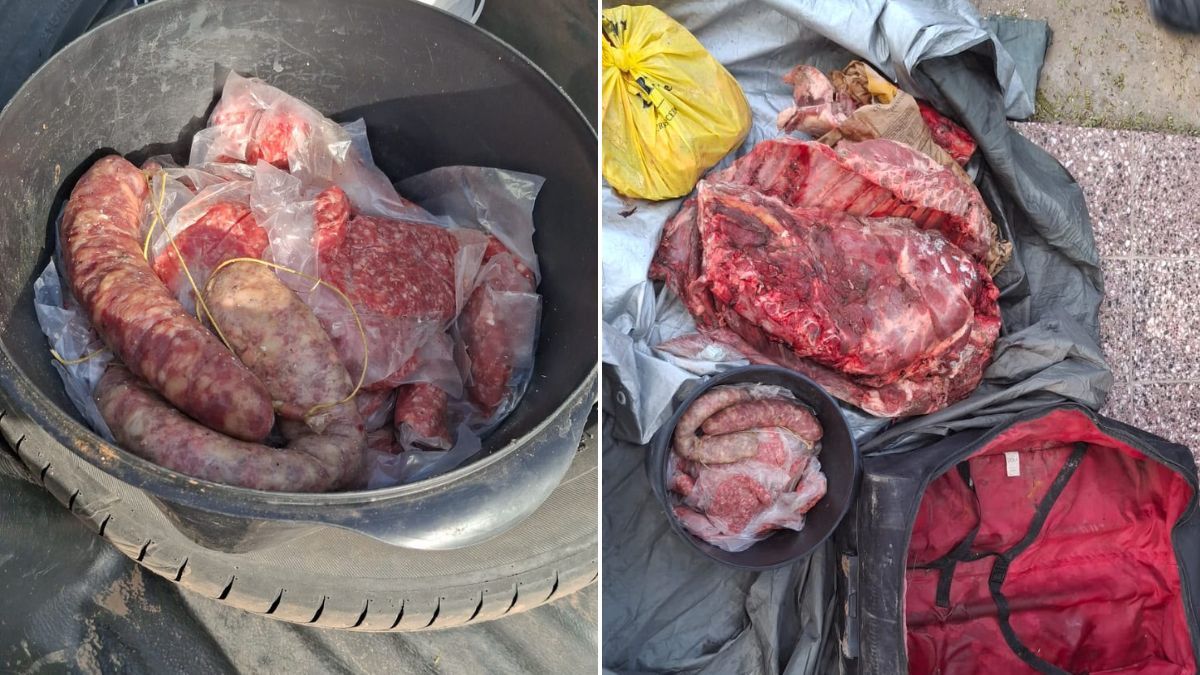 Parte de la mercadería recuperada tras el robo a la carnicería de Rincón.