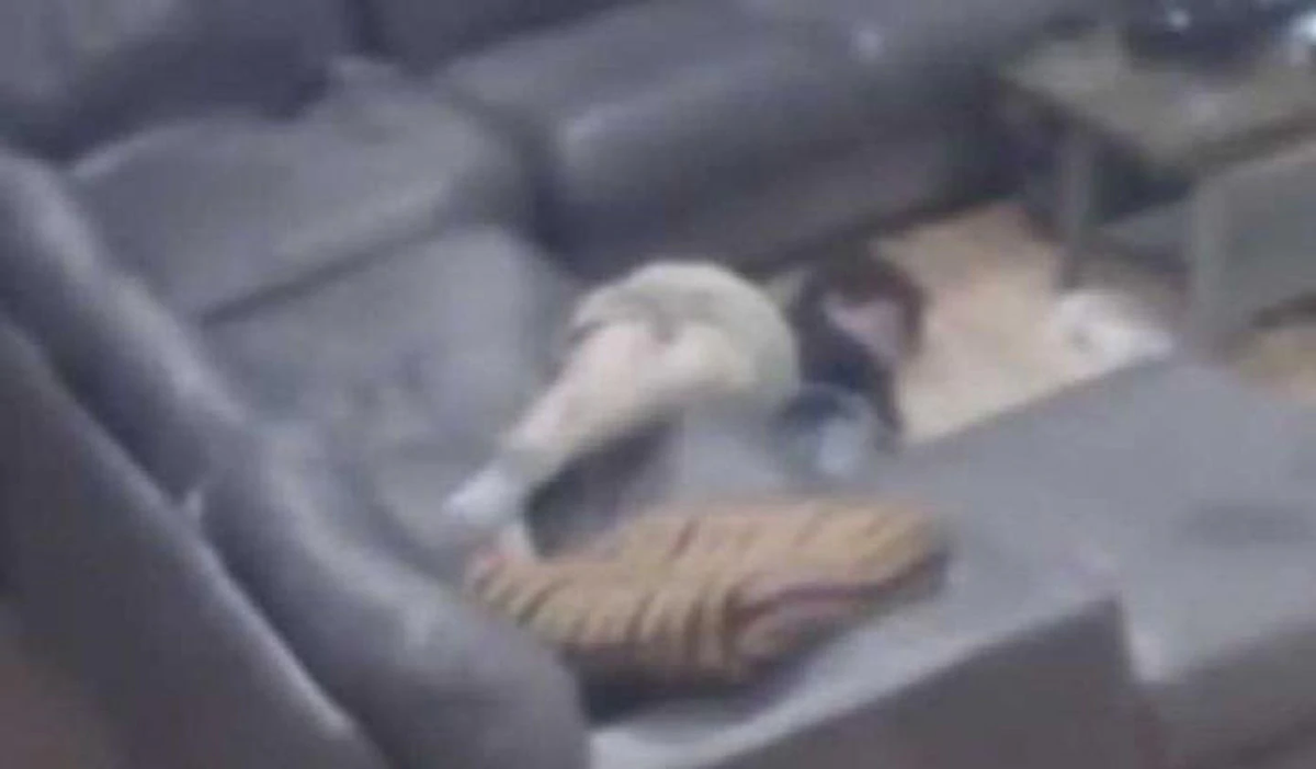 El joven permaneció en esa posición durante 15 minutos sin asistencia. (Foto: captura abc) 