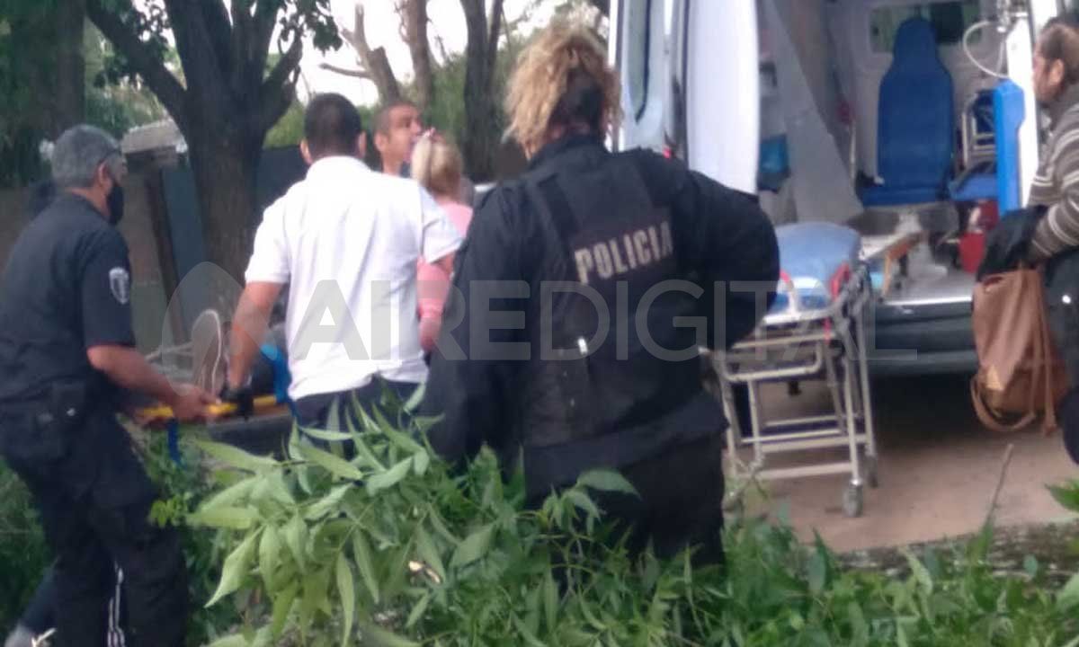 Sauce Viejo: la ambulancia que trasladó a la mujer aplastada por una rama.