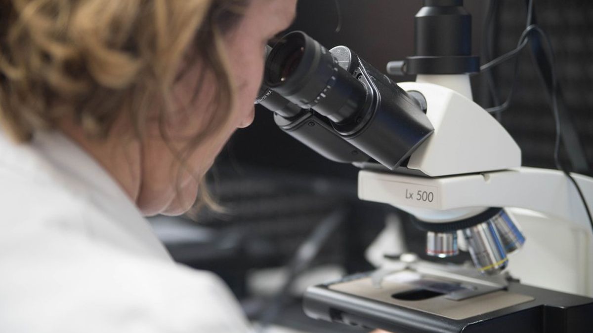 El trabajo fue realizado por la Unidad de Evolución y Transmisión Viral del prestigioso Hospital San Raffaele de Milán en colaboración con el Instituto Superior de Salud (ISS)