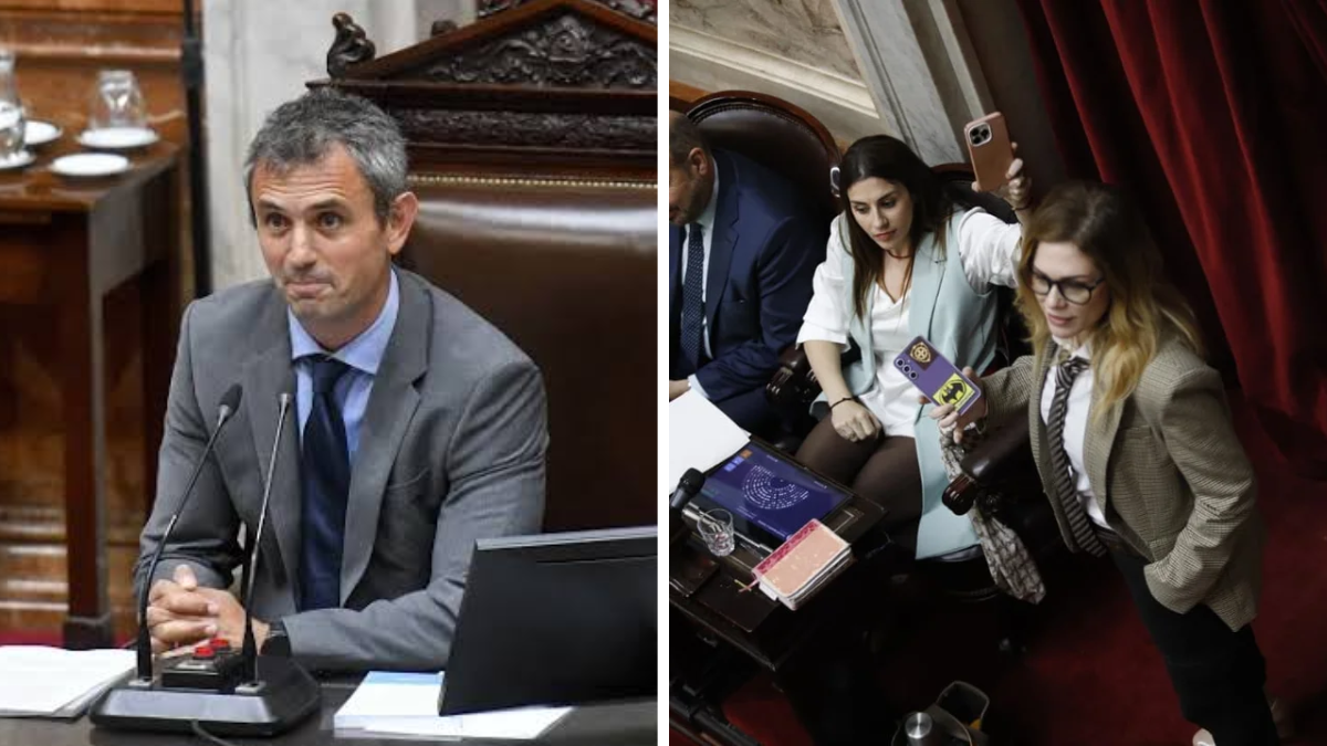 Revelan un chat entre Lilia Lemoine y Martín Menem en plena sesión: Es culpa de Santi Caputo