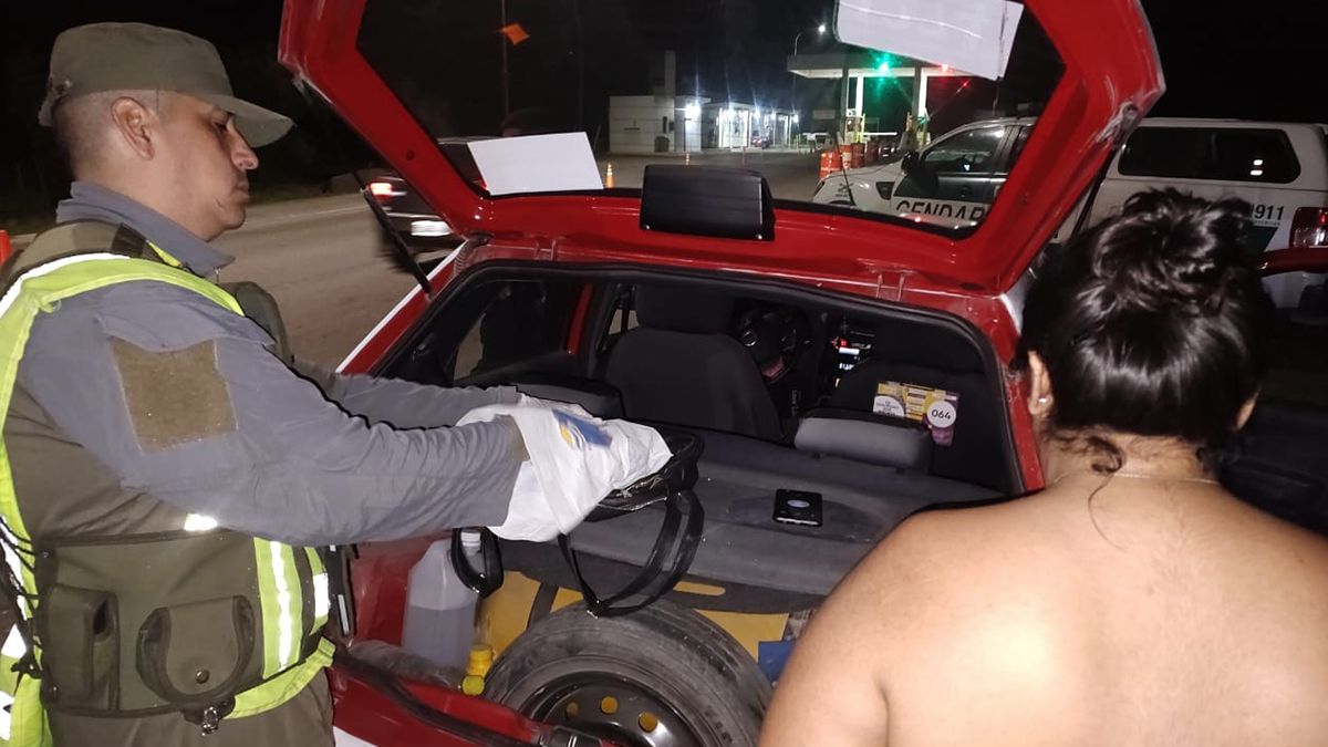 El hallazgo se dio en el marco de un control realizado por la Gendarmería sobre la ruta 70