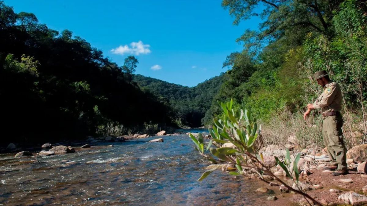 El pueblo secreto de Salta que guarda termas silvestres, fauna única y tradición viva