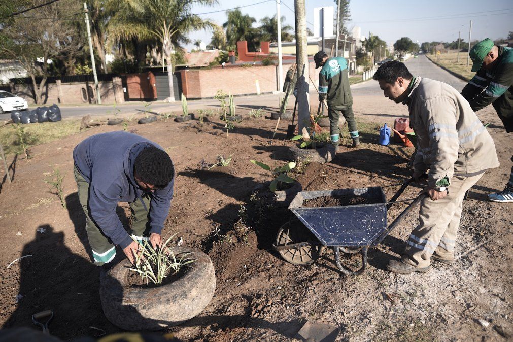 En una primera etapa serán 127 las familias que se verán beneficiadas con la colocación de 30 cestos comunitarios.