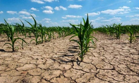 El fenómeno “La Niña” influye en las lluvias, las temperaturas y el caudal de los ríos del país. El fenómeno “La Niña” influye en las lluvias, las temperaturas y el caudal de los ríos del país.