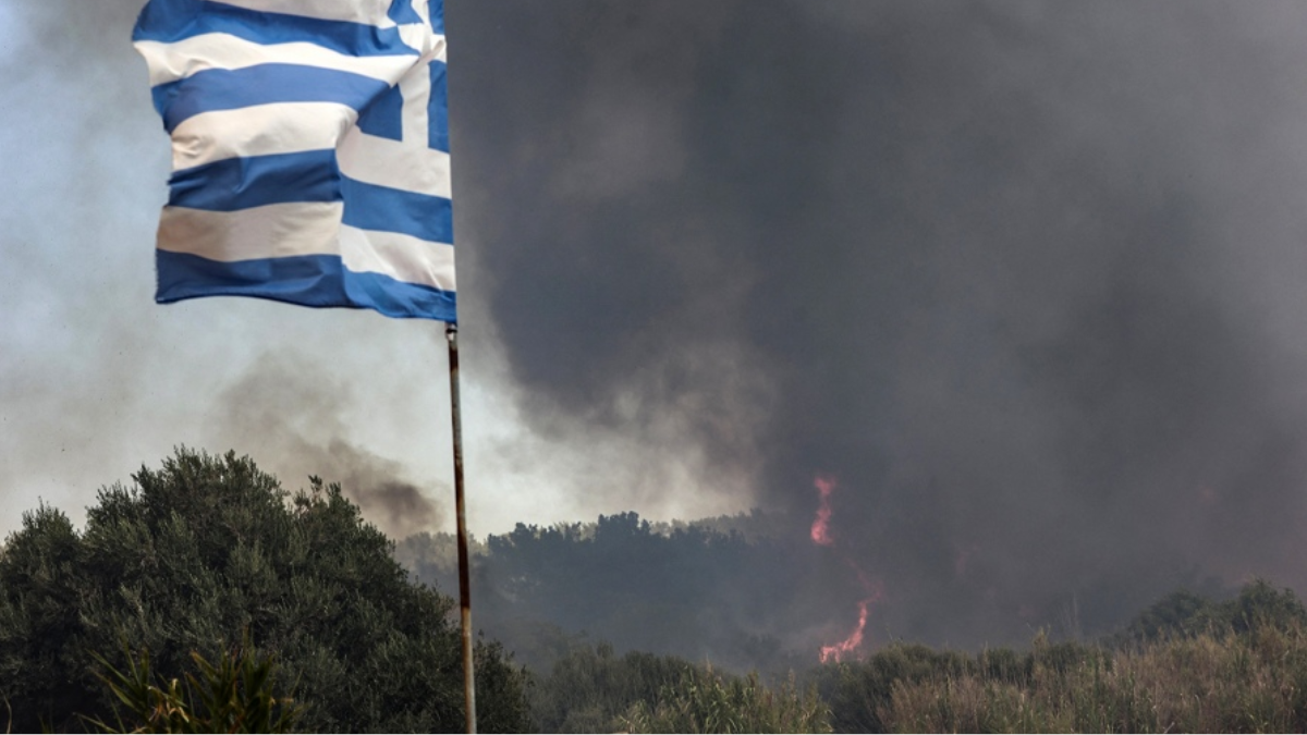 Se calcula que ya se perdieron más de 2.500 hectáreas de bosque de pinos a causa de las llamas. Foto: AFP