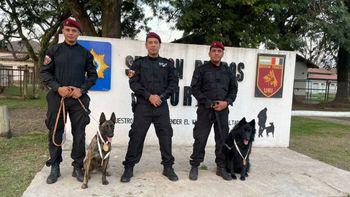 Balto y Newen, los perros de la URI de la Policía de Santa Fe, premiados por detección y rescate junto a sus guías.