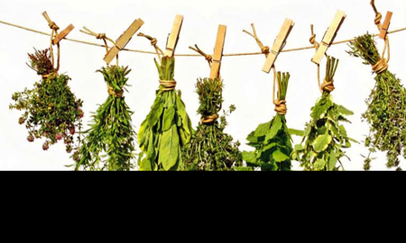 Hierbas medicinales para mejorar la salud estomacal. Hierbas medicinales para mejorar la salud estomacal.